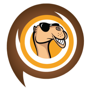 Camel Order/ Inquiry Management System
