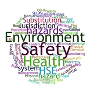 HSE Management System