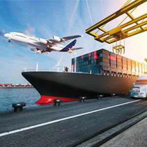 Bulk Cargo Services