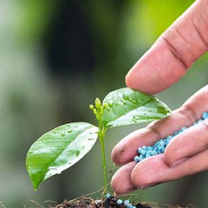 Fertilizer Sector