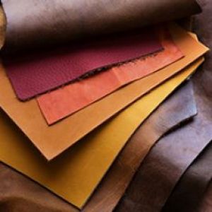 Leather & Tanneries