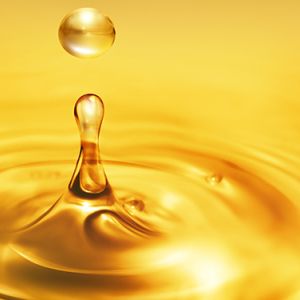 Petroleum Sector